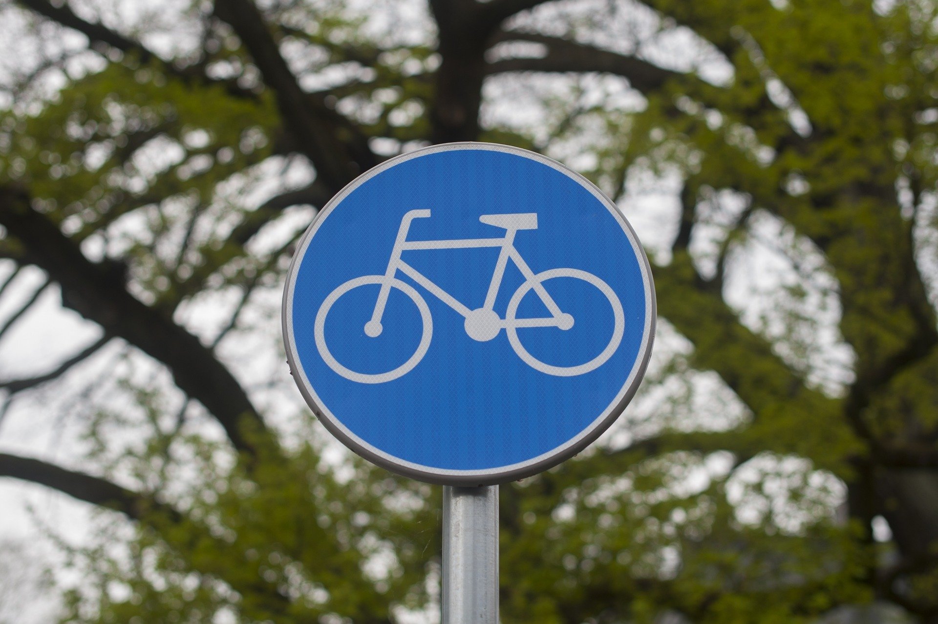 Jan Lička: Vnímejme cyklistiku jako rovnocenný druh dopravy